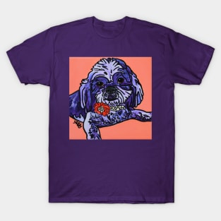 Lola Shih Tzu T-Shirt